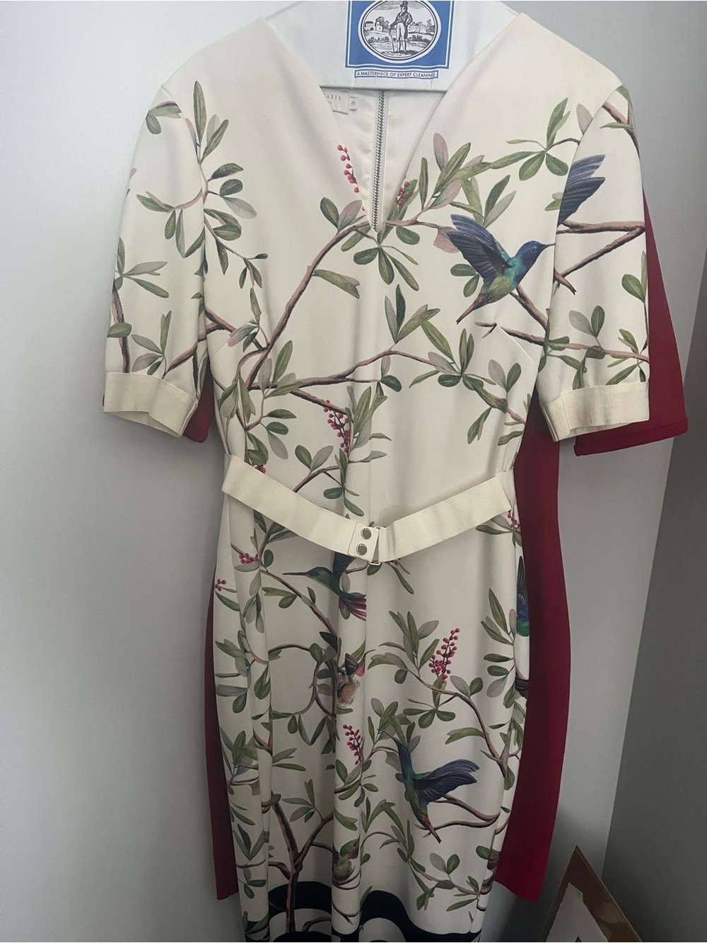 Ted Baker Hummingbird Print Belted Dress - Cream